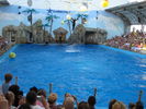 IMG_1193_resize.JPG