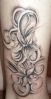 DSC01742.JPG